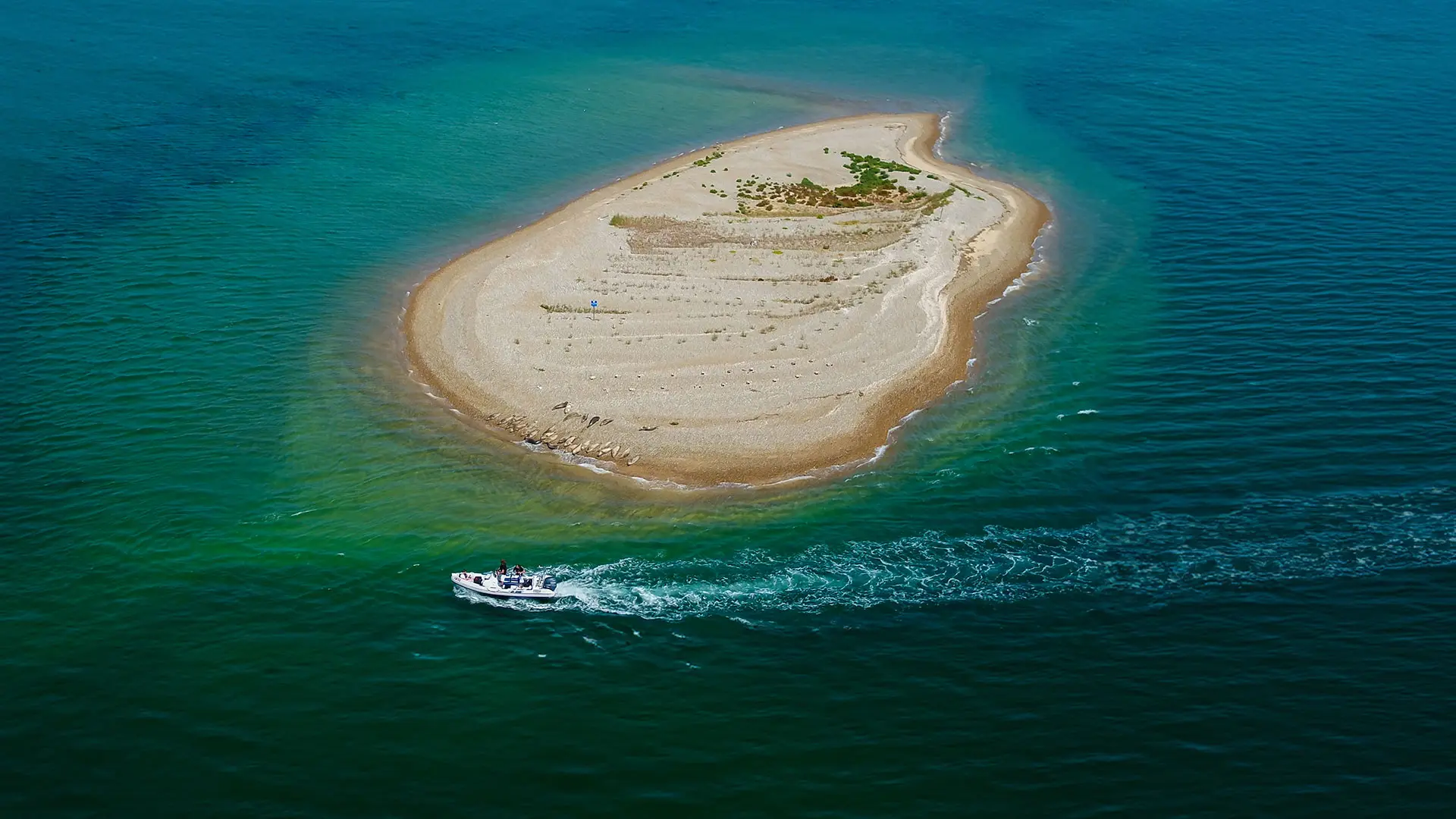 blakeney point harbour tours